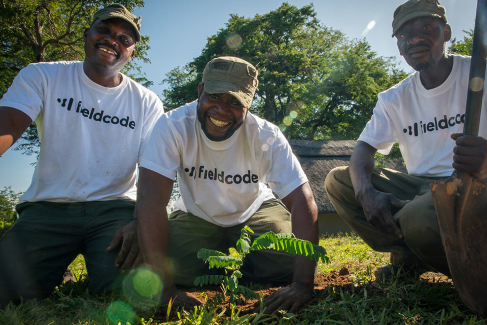 Three smiling men sitting on the grass behind a small plant. Trees are on the background. Three smiling men sitting on the grass behind a small plant. Trees are on the background.